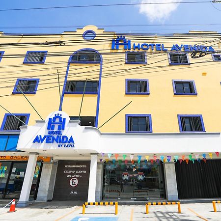 Hotel Avenida Cancún Exterior foto